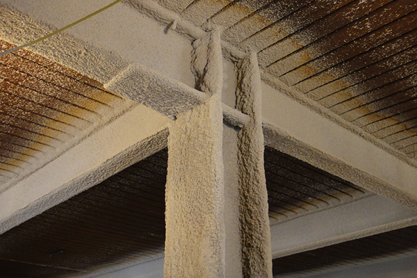 Fire Proofing